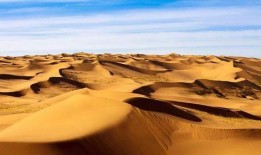 最新沙漠爆料视频大全集,最新爆料视频大全集深度解析