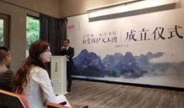 爆料台湾林志玲视频播放